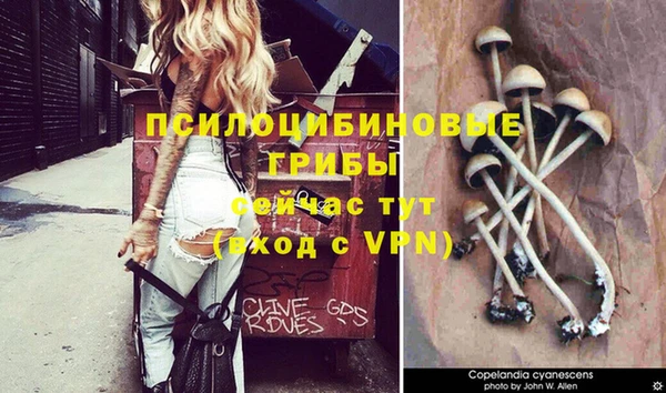 бутират Абинск