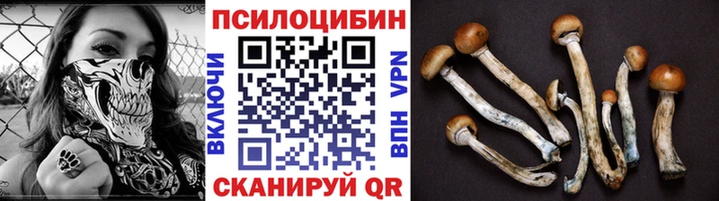 Псилоцибиновые грибы Magic Shrooms  где купить   Инза 